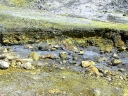 whiteisland (46)